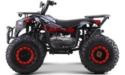Keturratis benzininis 200CC Monster, raudonas