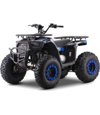 Keturratis benzininis 200CC MONSTER, mėlynas