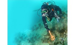 Quest Metal Detectors Scuba Tector orange underwater metal detector 2019 version