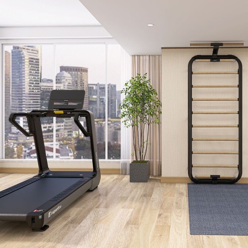 Wall Bars inSPORTline Wootalux 220 x 86 cm