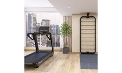 Wall Bars inSPORTline Wootalux 220 x 86 cm