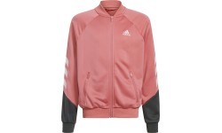 Adidas G Xfg Ts Girls' Tracksuit Pink Black GM8937