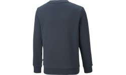 Puma Džemperis Paaugliams Ess + 2 Col Big Logo Navy 586986 16