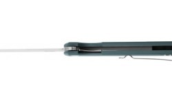 Sulankstomas peilis Ganzo Firebird FH11-GB