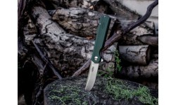 Folding Knife Ganzo Firebird FH11-GB 