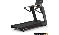 Treadmill inSPORTline Gardian G10