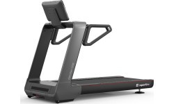 Treadmill inSPORTline Gardian G10