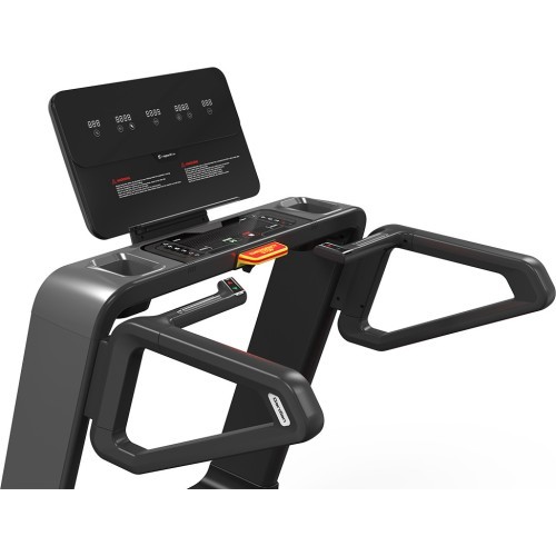 Treadmill inSPORTline Gardian G10