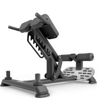 Back Muscle Training Bench UpForm UR-L008