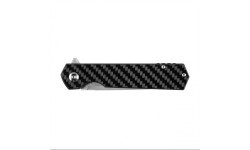Ganzo Firebird FH11S-CF folding knife.