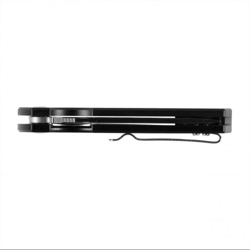Ganzo Firebird FH11S-CF folding knife.