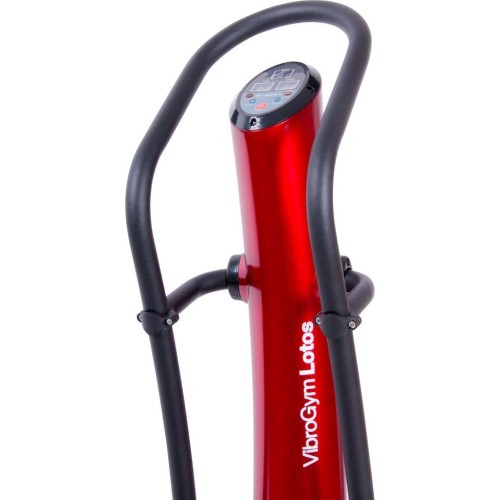 Vibration Platform VibroGym inSPORTline Lotos - Brown
