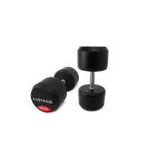 Hastings 50 kg profesionalus hantelių rinkinys