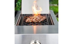 Газовый гриль Char-Broil Professional Pro S 2