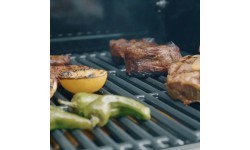 Газовый гриль Char-Broil Professional Pro S 2
