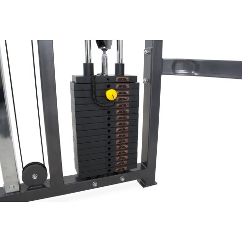 Pivot Fitness 820 Dual Adjustable Pulley