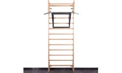 Wall-Mounted Pull-Up Bar inSPORTline LCR-1115