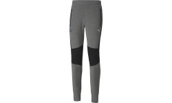 Мужские брюки Puma BMW MMS Sweat Pants, серые 598002 03