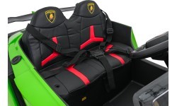 Vehicle Lamborghini Veneno Green