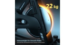 Exercise Bike inSPORTline ZenRoute 1200