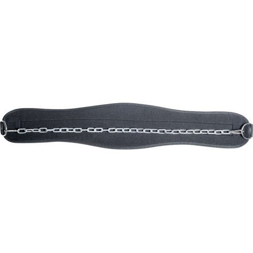 Sunkumų kilnojimo diržas su grandine inSPORTline Chainbelt