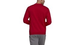 Adidas Džemperis Vyrams Ent22 Sweat Top Red HB0577