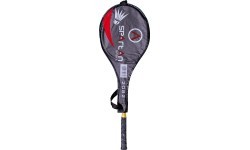 Badminton racket Spartan Tango