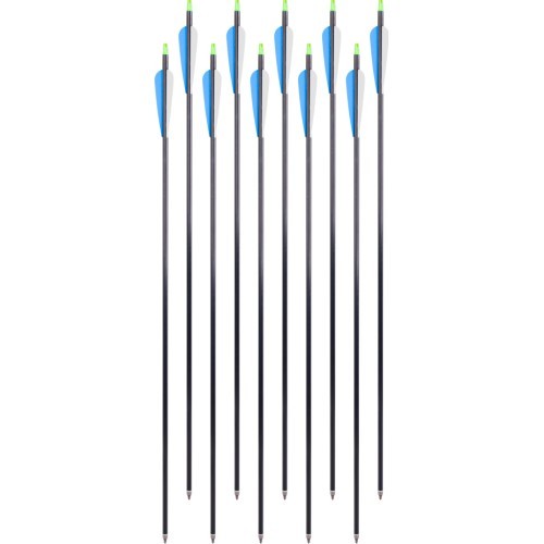 Aliuminės strėlės su įsukamais antgaliais inSPORTline Aluson 30", 10 vnt., mėlynos-baltos