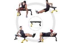 L8012 EXERCISE BENCH HMS PREMIUM