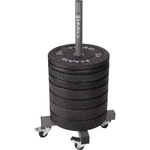 STR32 WEIGHT PLATE RACK COMMERCIAL HMS