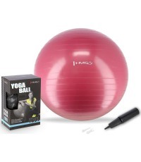 YB01 NEW 65CM PLUM GYM BALL HMS