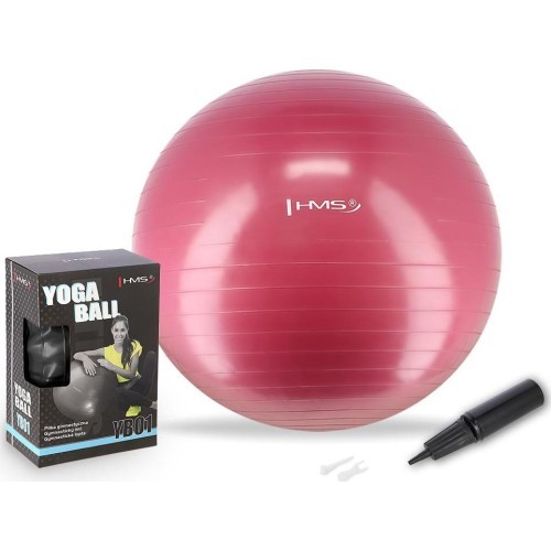 Naujas gimnastikos kamuolys HMS YB01, 65 cm, slyvų spalvos