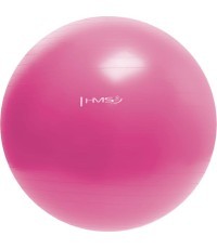 YB01N 55CM PINK GYM BALL HMS