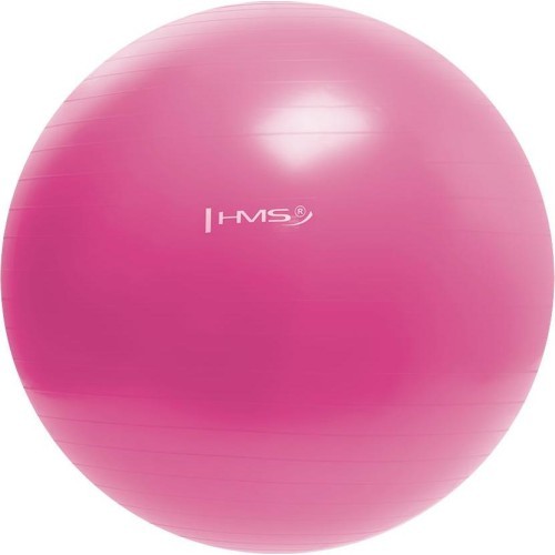 YB01N 55CM PINK GYM BALL HMS