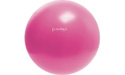 YB01N 55CM PINK GYM BALL HMS