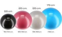 Mėlynas 55 cm gimnastikos kamuolys HMS YB01
