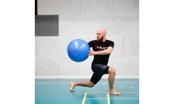 YB01 NEW 55CM BLUE GYM BALL HMS