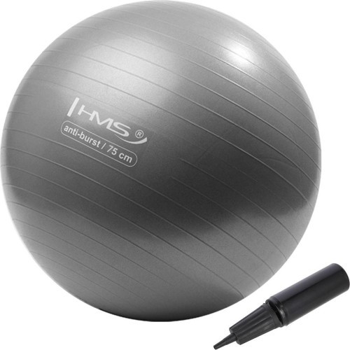 YB02 NEW 75CM GRAY GYM BALL HMS