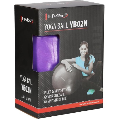 YB02 NEW 65CM PURPLE GYM BALL HMS
