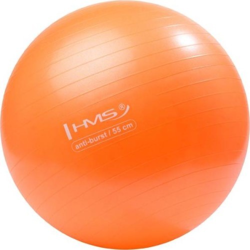 YB02 NEW 55CM ORANGE GYM BALL HMS