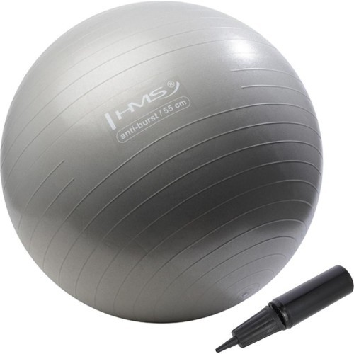 YB02 NEW 55CM GRAPHITTE GYM BALL HMS