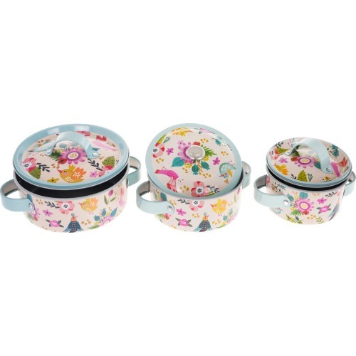 A set of aluminum pots + accessories