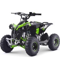 Benzininis keturratis Renegade 110CC, žalias