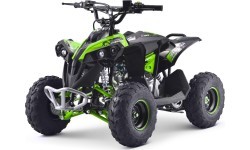 Бензиновый квадроцикл Renegade 110CC, зелёный