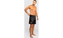 Шорты для MMA Venum Serpenti – чёрные/серебристые/золотые
