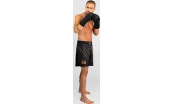 Шорты для MMA Venum Serpenti – чёрные/серебристые/золотые