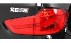 Vehicle BMW X6M Lacquered Black
