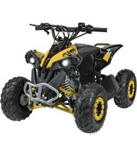 RENEGADE HighPer 110CC degimo keturratis geltonos spalvos