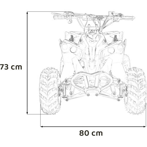 RENEGADE HighPer 110CC degimo keturratis geltonos spalvos