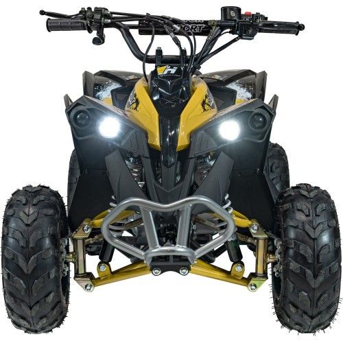 Квадроцикл RENEGADE HighPer 110CC желтый